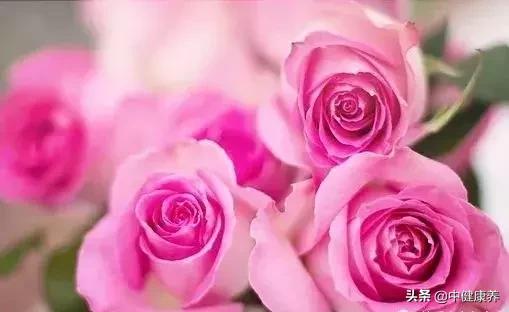 心理观察家：退休的朋友注意啦，这是很棒的一段话，一定要发