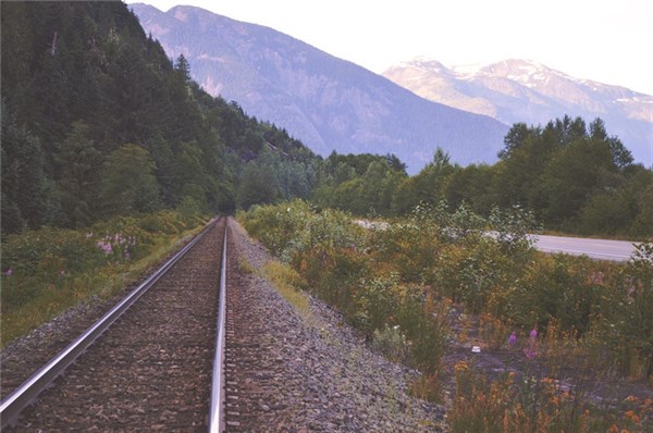 「光明网」努力地去实现自我，喊出自己的声音，走出属于自己的道路！