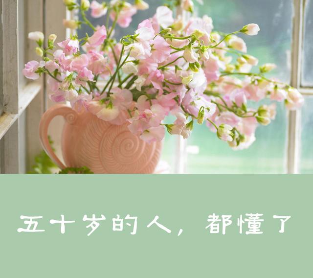 【柠檬美文】真正的人生从50岁开始！说的太好了