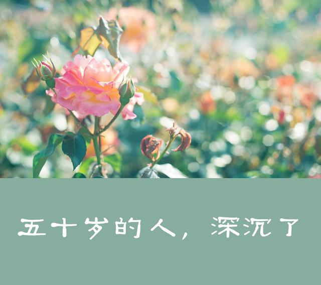 【柠檬美文】真正的人生从50岁开始！说的太好了