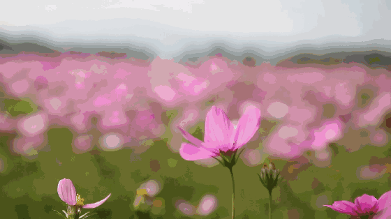 中国创业人生■用自己照片当微信头像的人，都是什么样的人？