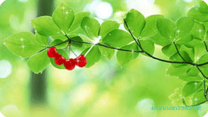 中国创业人生■用自己照片当微信头像的人，都是什么样的人？