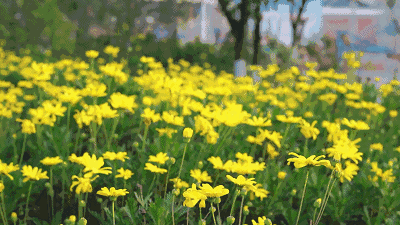 中国创业人生■用自己照片当微信头像的人，都是什么样的人？