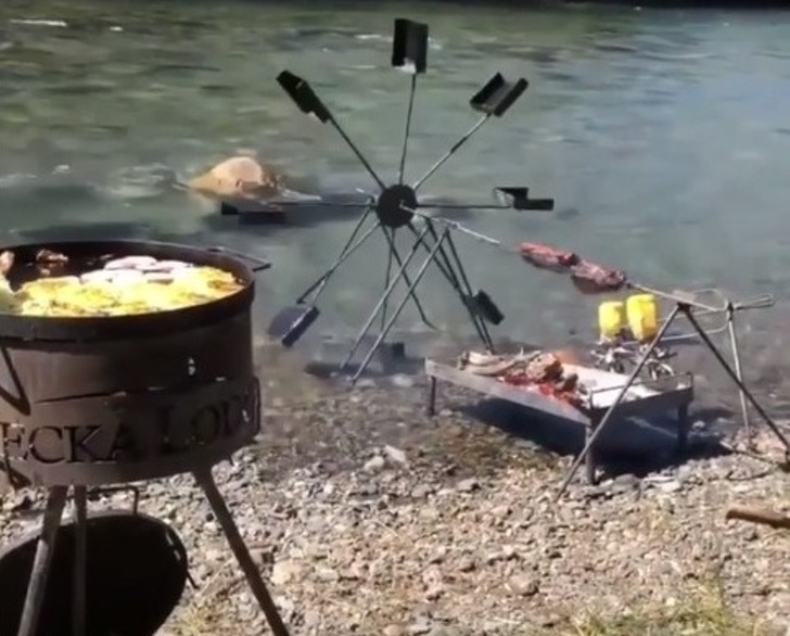 pigskin■9个具有“超强适应能力的人，”逗乐了我们的生活