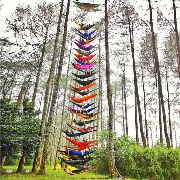 pigskin■9个具有“超强适应能力的人，”逗乐了我们的生活