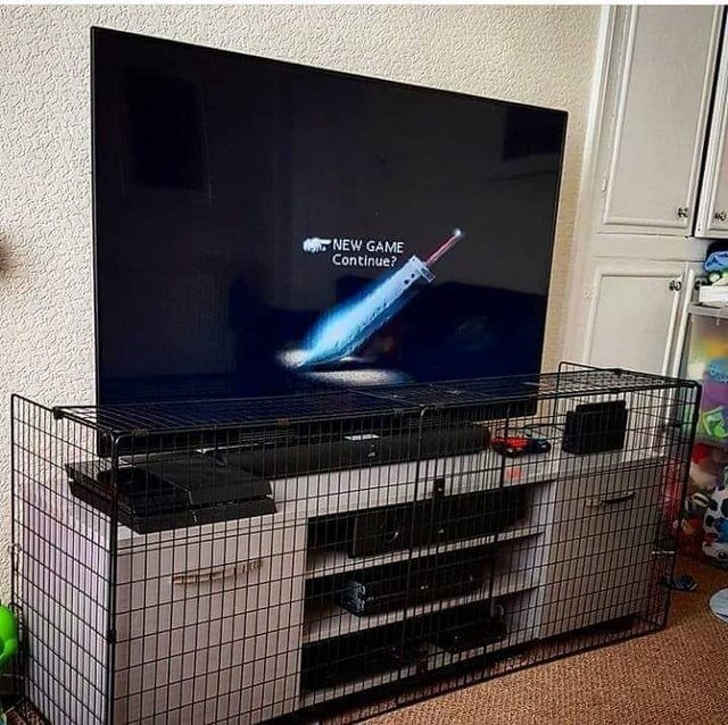 pigskin■9个具有“超强适应能力的人，”逗乐了我们的生活