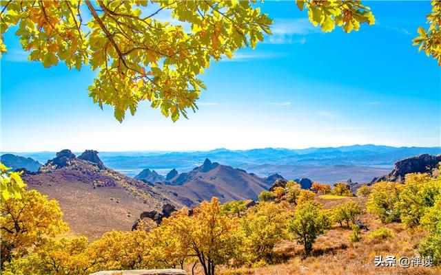 「竹之道」让时光沉淀美丽，让生命绽放光彩