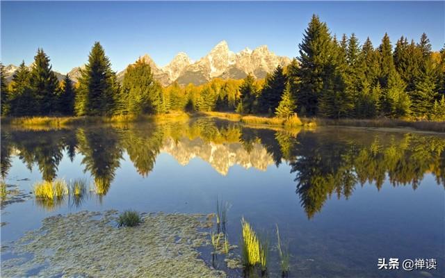 「竹之道」让时光沉淀美丽，让生命绽放光彩