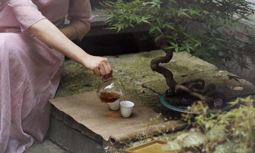 #中国茶文化知识#最好的生活：有钱，有书，有茶！