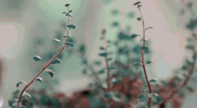 「温暖对白」保持头脑清醒，明白自己渺小，切忌自我陶醉