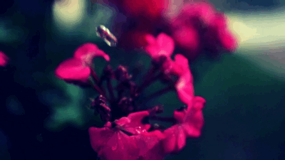 「温暖对白」保持头脑清醒，明白自己渺小，切忌自我陶醉