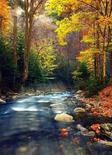 浅浅情感说■当岁月染上沧桑，我们要用多少时间才能适应人走茶凉，世事变迁