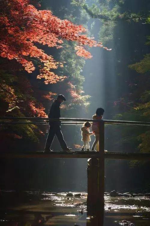 浅浅情感说■当岁月染上沧桑，我们要用多少时间才能适应人走茶凉，世事变迁