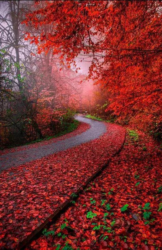 浅浅情感说■当岁月染上沧桑，我们要用多少时间才能适应人走茶凉，世事变迁