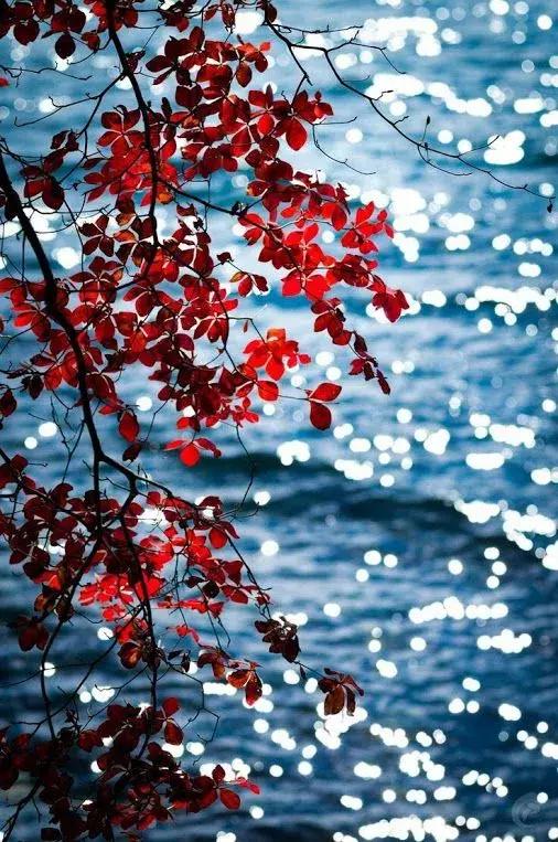 浅浅情感说■当岁月染上沧桑，我们要用多少时间才能适应人走茶凉，世事变迁