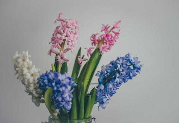 「你所想象不到的科技」“不差钱”的三生肖，脾气差劲却很旺夫，娶回家就是赚到了