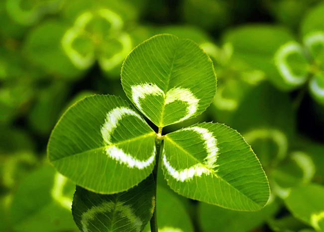 「你所想象不到的科技」“不差钱”的三生肖，脾气差劲却很旺夫，娶回家就是赚到了