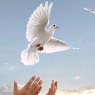 好学经典■汪国真，宁静，是为了让思想活跃；活泼，是为了让精神宁静