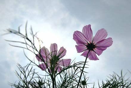好学经典■汪国真，宁静，是为了让思想活跃；活泼，是为了让精神宁静