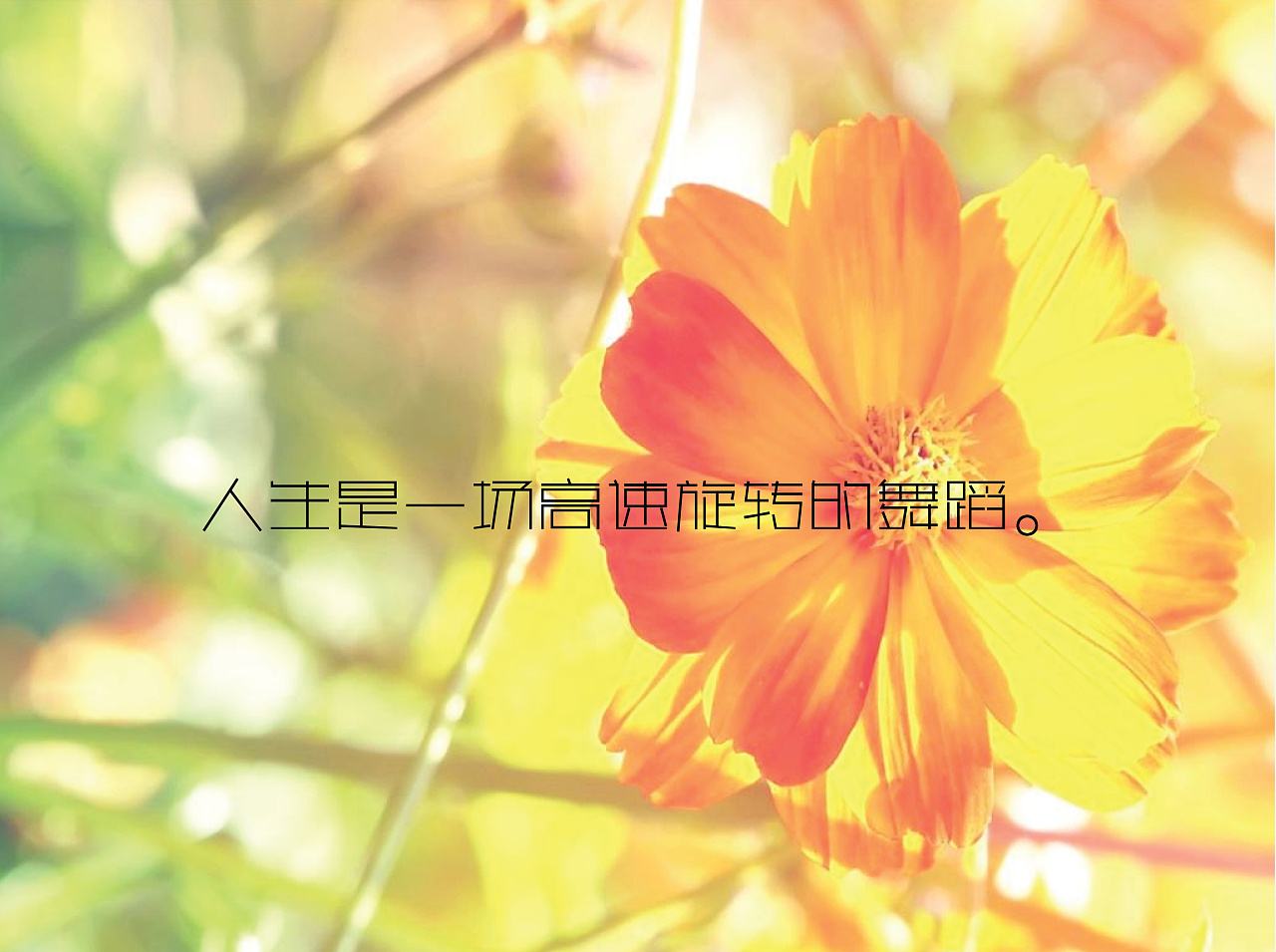 柠檬美文■一定要记得这些人对你的好！