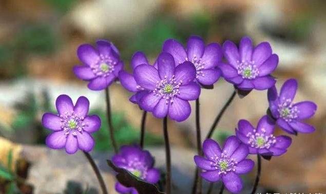 糖果儿■做人，  良心不能丢，诚信不能无