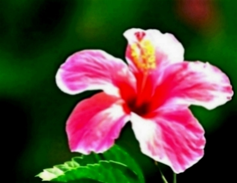 宇宙科技的超人：值得女人依赖的三个生肖，成熟稳重踏实，对爱始终专一