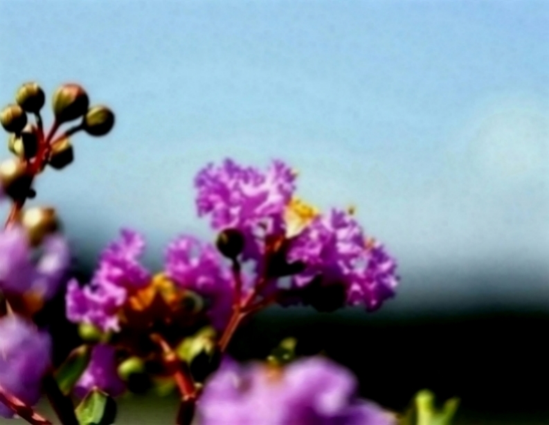 宇宙科技的超人：值得女人依赖的三个生肖，成熟稳重踏实，对爱始终专一