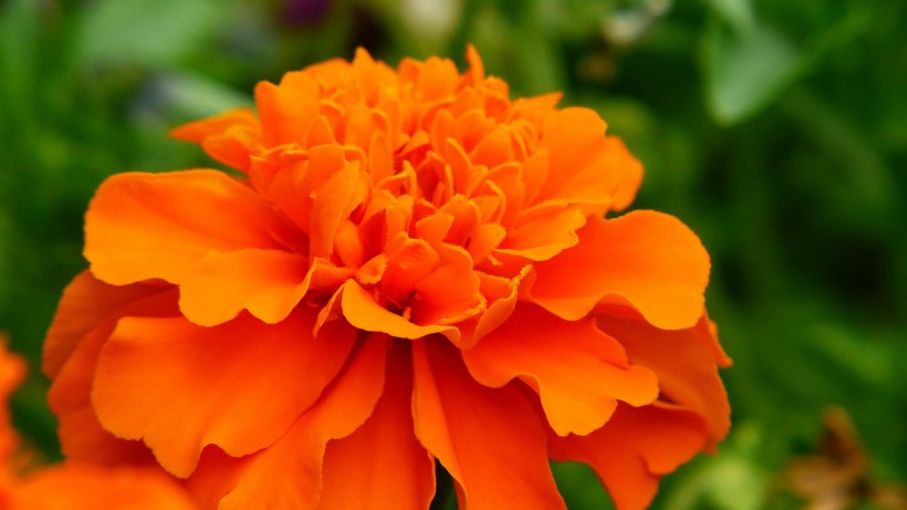 「情感一嘉」天生“直男癌”的三个生肖男，不怎么会讲话，不懂得退让