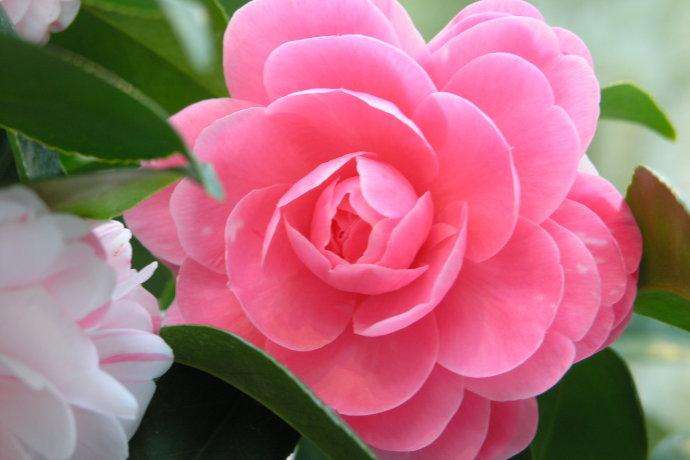 #强强联手在乐趣#走过半辈子，早就明白得失功过只在一念之间