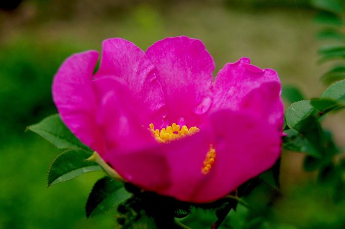 #强强联手在乐趣#走过半辈子，早就明白得失功过只在一念之间