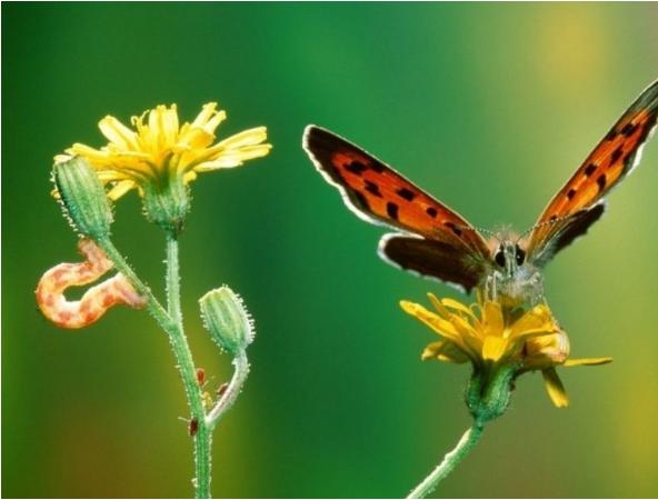 杭后新闻■老人说：这三种人，表面善良，内心阴险，离得越远越好！