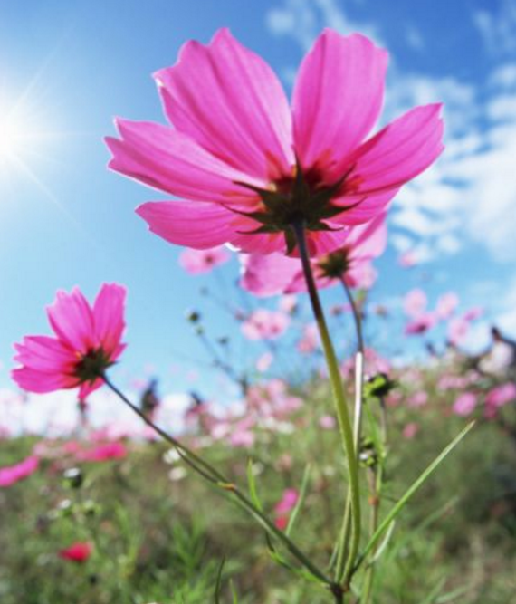 杭后新闻■老人说：这三种人，表面善良，内心阴险，离得越远越好！