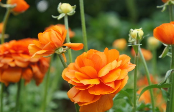 杭后新闻■老人说：这三种人，表面善良，内心阴险，离得越远越好！