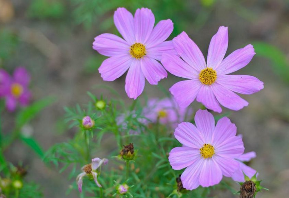 杭后新闻■老人说：这三种人，表面善良，内心阴险，离得越远越好！