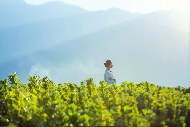 格式化孤单：人生，过的是心情，生活，活的是心态