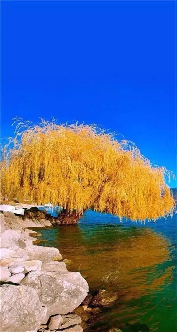 「小事大励志」思想太少可能失去做人的尊严，思想太多可能失去做人的快乐