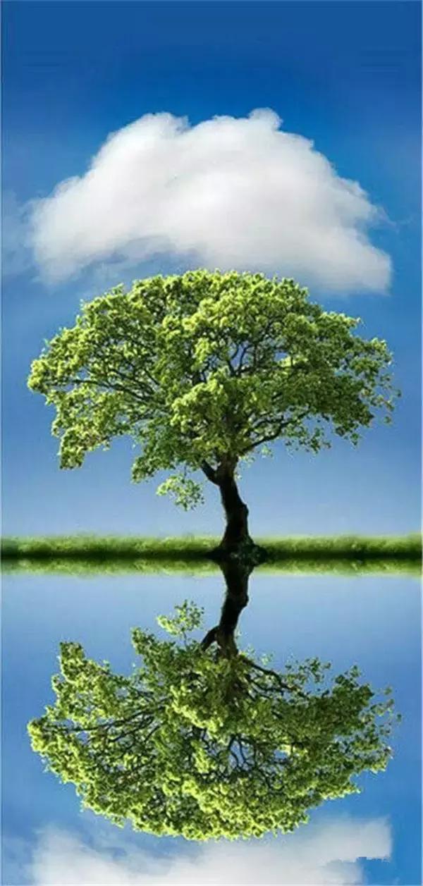 「小事大励志」思想太少可能失去做人的尊严，思想太多可能失去做人的快乐