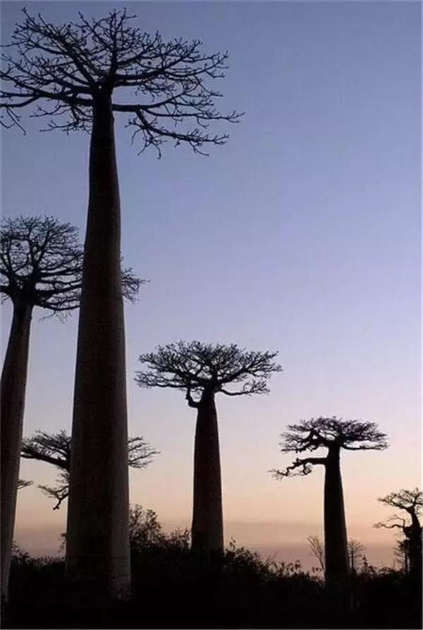 「小事大励志」思想太少可能失去做人的尊严，思想太多可能失去做人的快乐