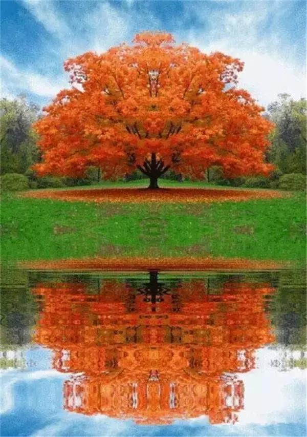 「小事大励志」思想太少可能失去做人的尊严，思想太多可能失去做人的快乐