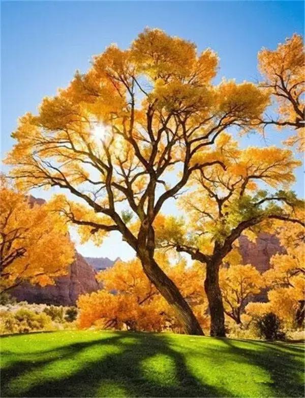 「小事大励志」思想太少可能失去做人的尊严，思想太多可能失去做人的快乐