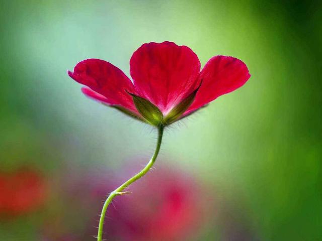 幸福香水@人，要懂得换位思考