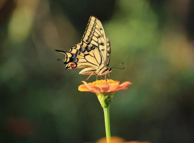幸福香水@人，要懂得换位思考