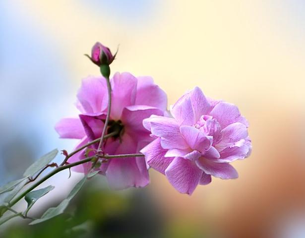 幸福香水@人，要懂得换位思考