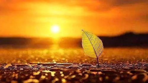 「倾听情声响」能成大事的人，都耐得住“烦”