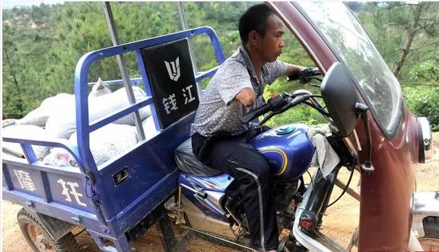 康普森李娜@假如马云当年选择卖农资，他现在一定是这样的