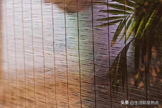 浅浅情感说@人，越朴素，越高贵