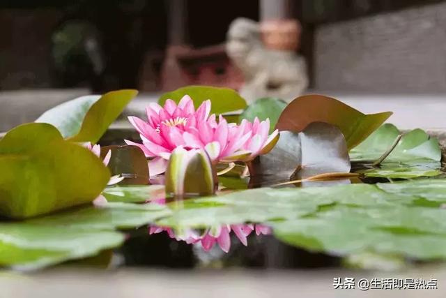 浅浅情感说@人，越朴素，越高贵