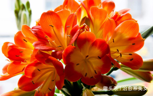 [治愈系美女]充满智慧的心灵鸡汤，随性洒脱，让人相见恨晚