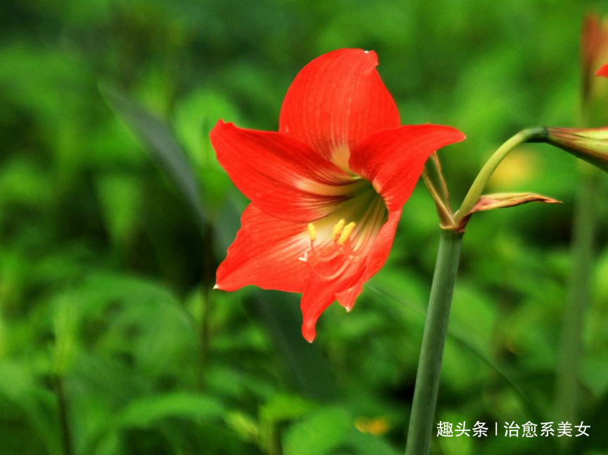 [治愈系美女]充满智慧的心灵鸡汤，随性洒脱，让人相见恨晚