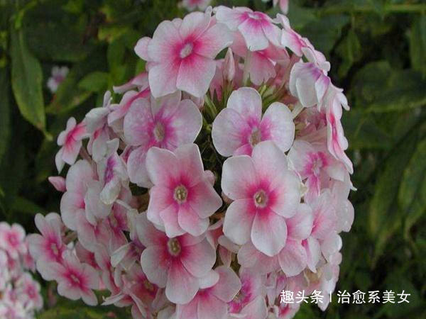 [治愈系美女]充满智慧的心灵鸡汤，随性洒脱，让人相见恨晚